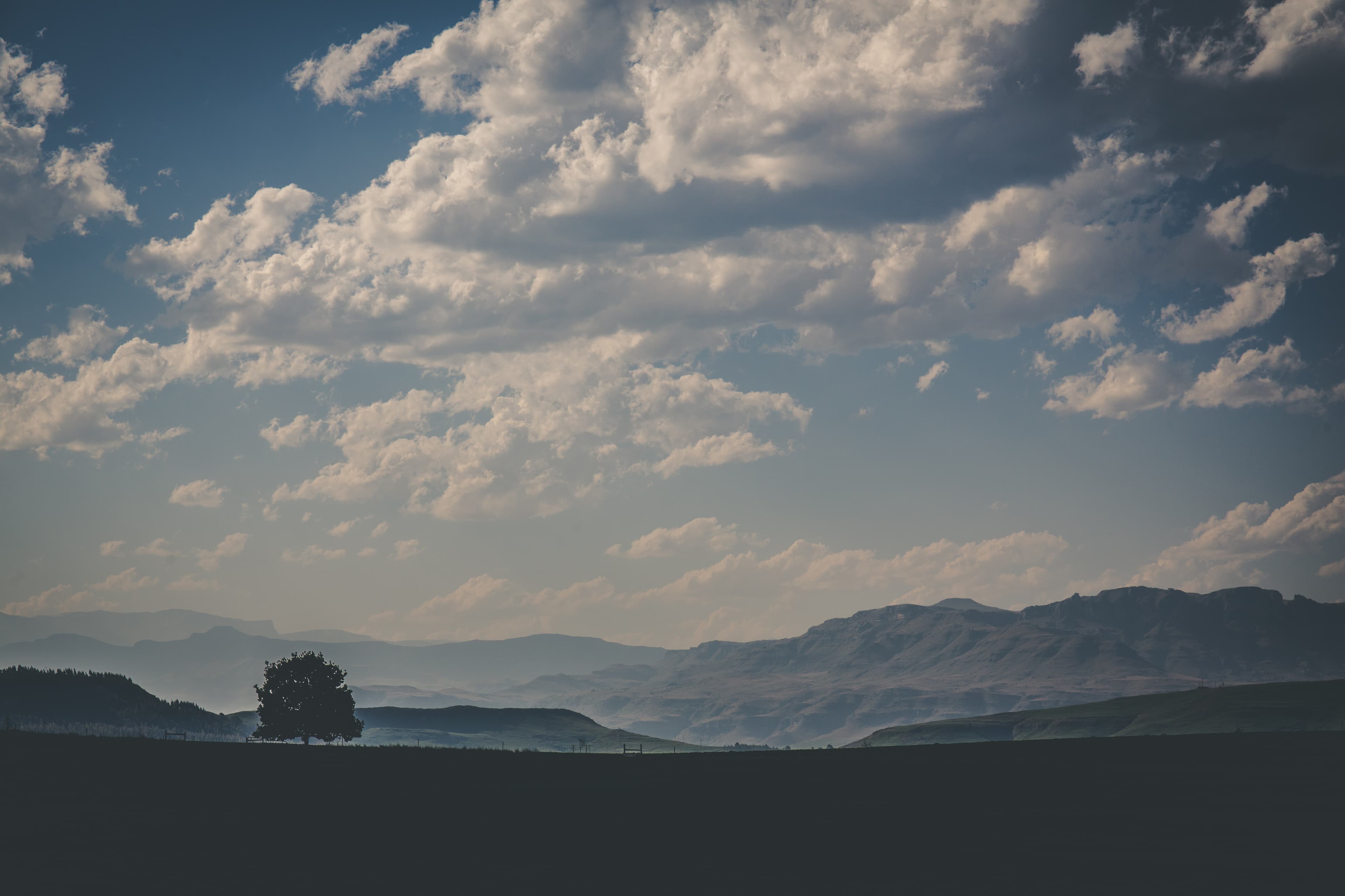 Drakensberg skyline with lone tree