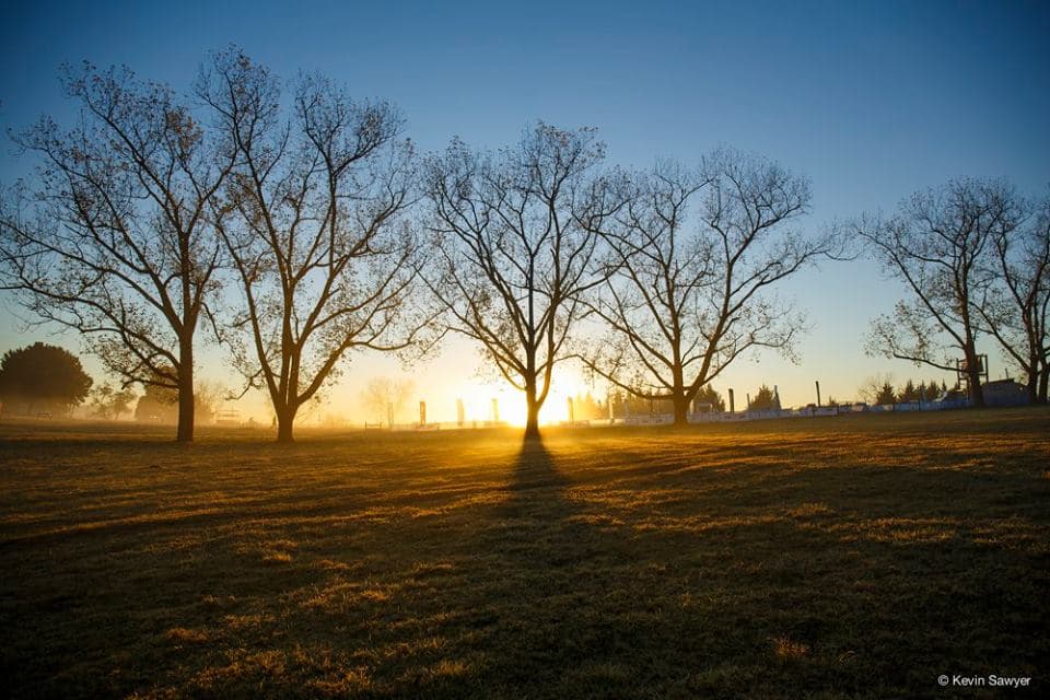 Glencairn sunrise with silhouetted trees