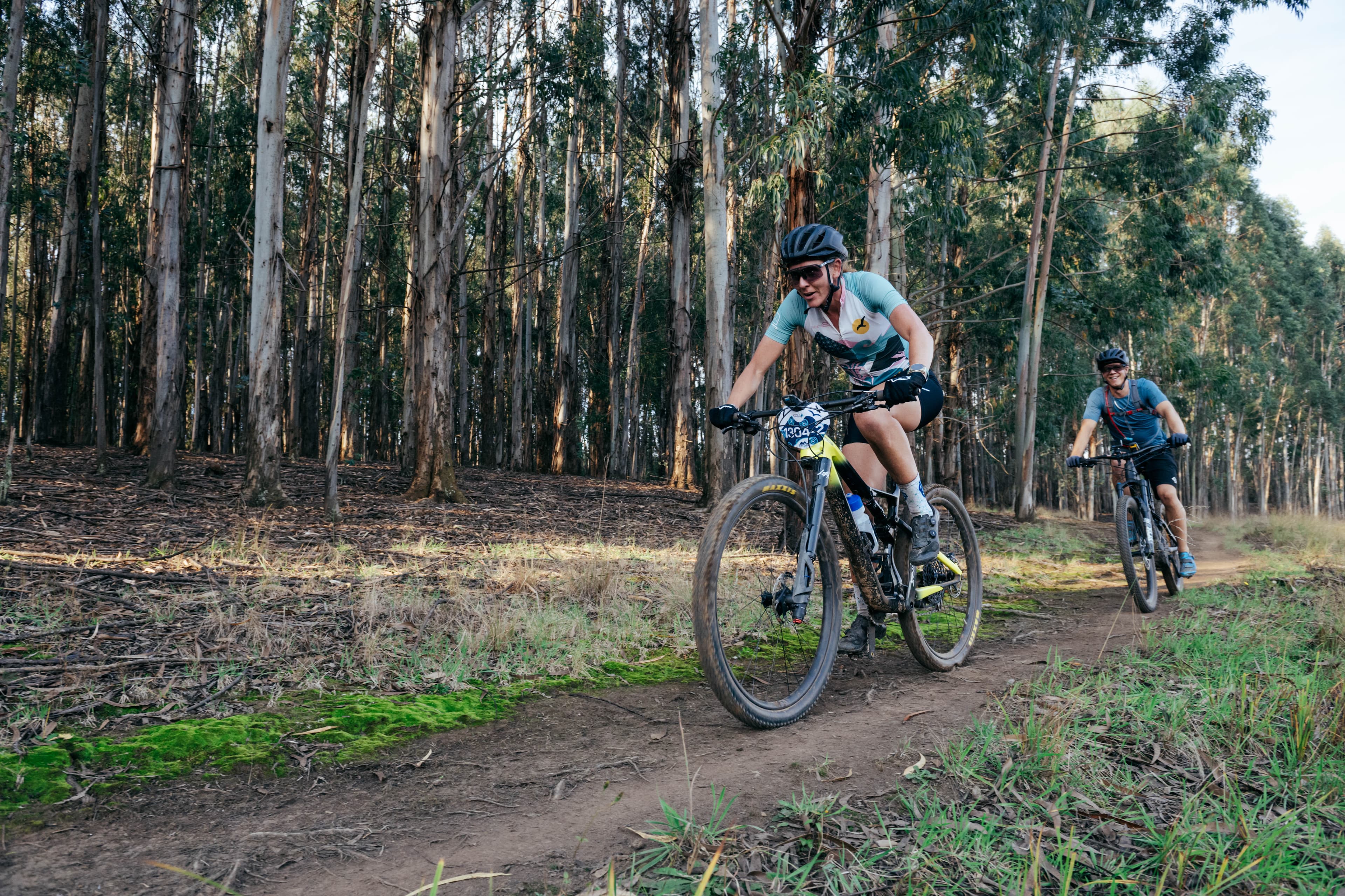 Rider on eucalyptus forest trail