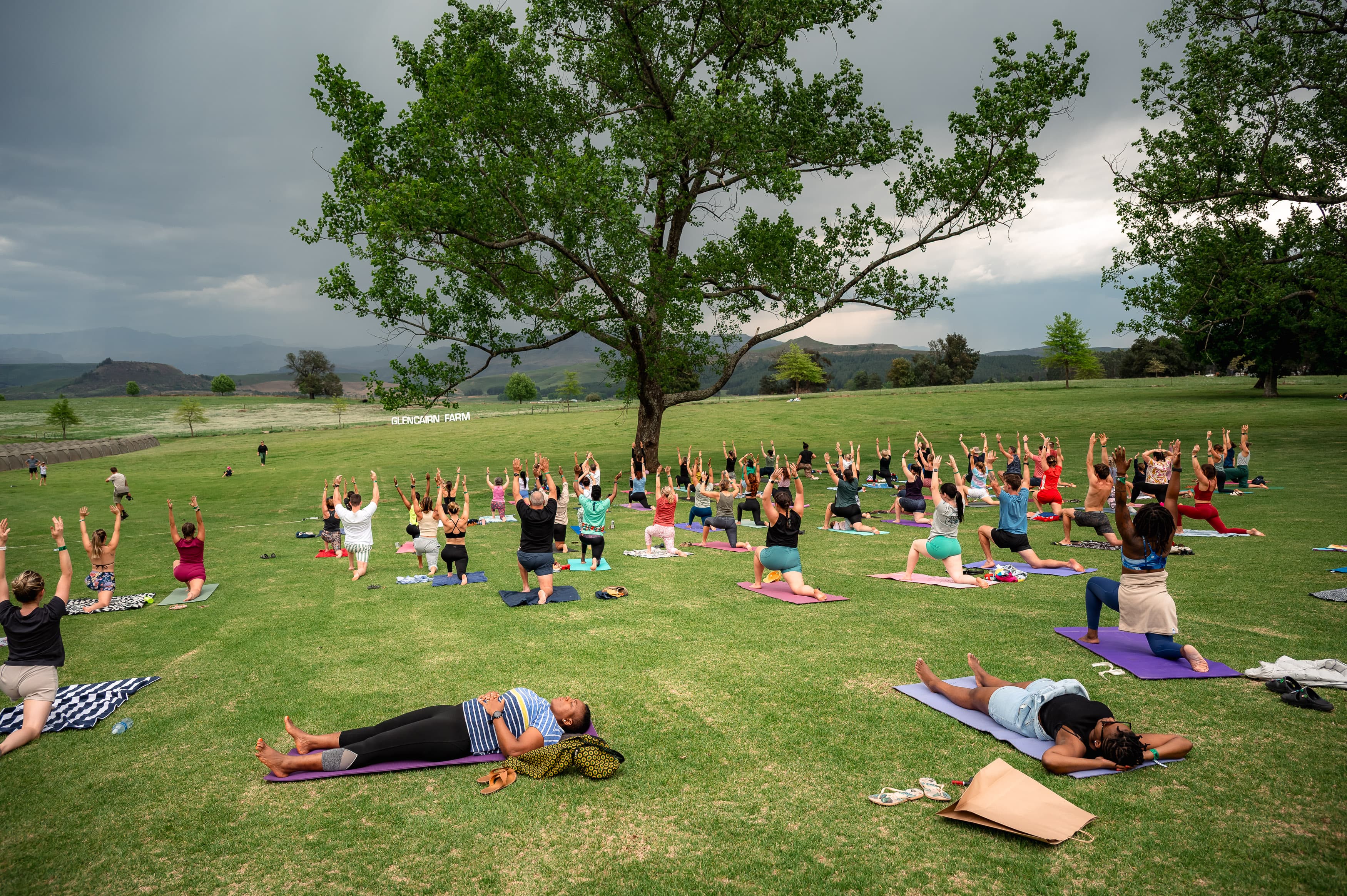 Yoga session at Glencairn Farm under tree