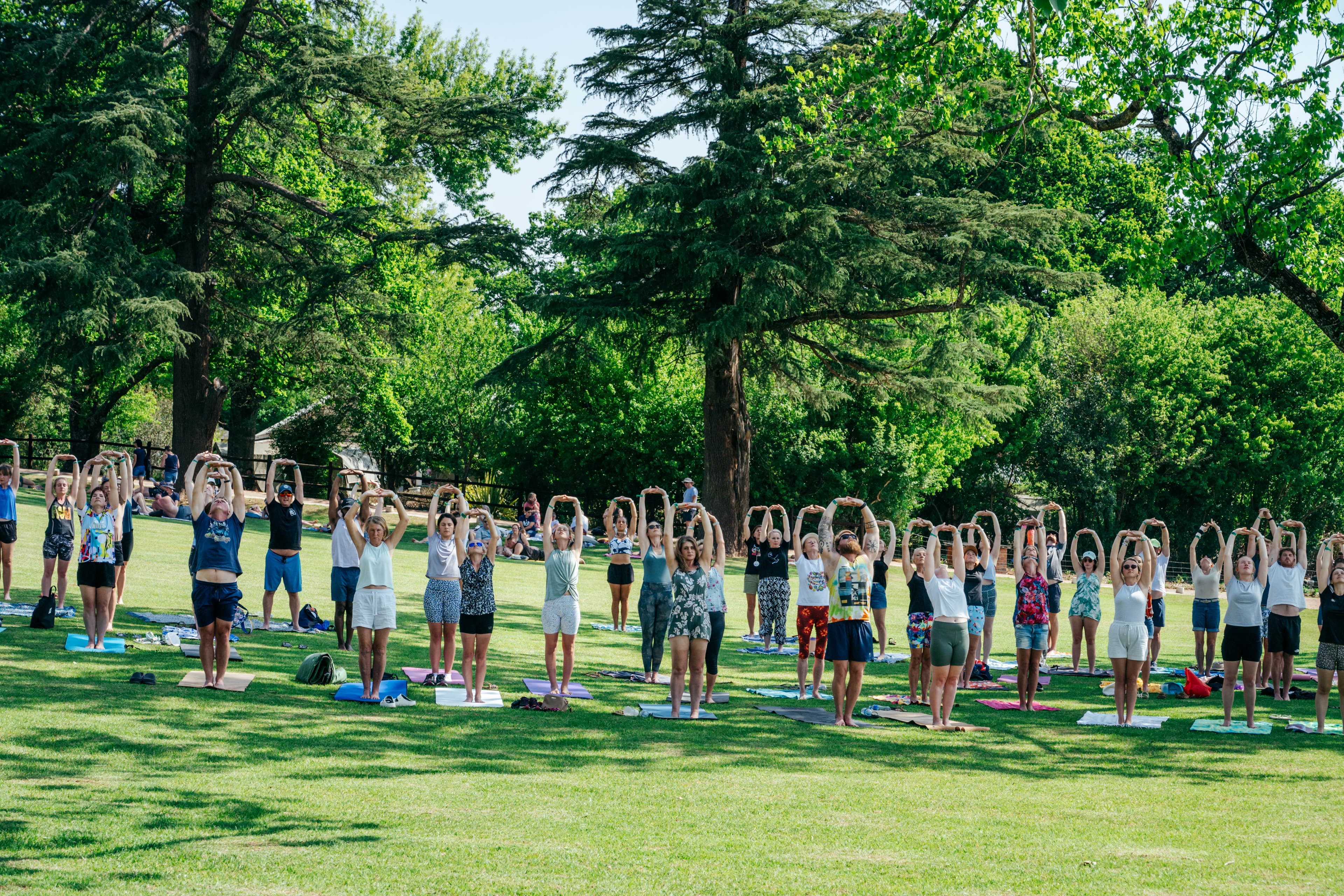 Yoga session on outdoor lawn
